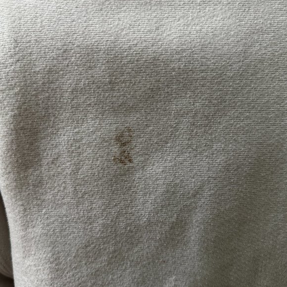 Champion White Hoodie - Reverse Weave Hoodie, C Logo - Picture 2 of 3